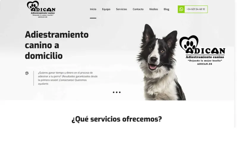 Portada del proyecto: adiestramiento canino a domicilio